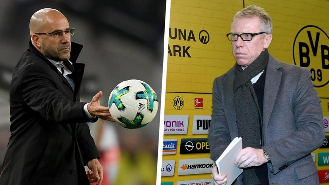 咪咕视频cba现场直播爱游戏下载